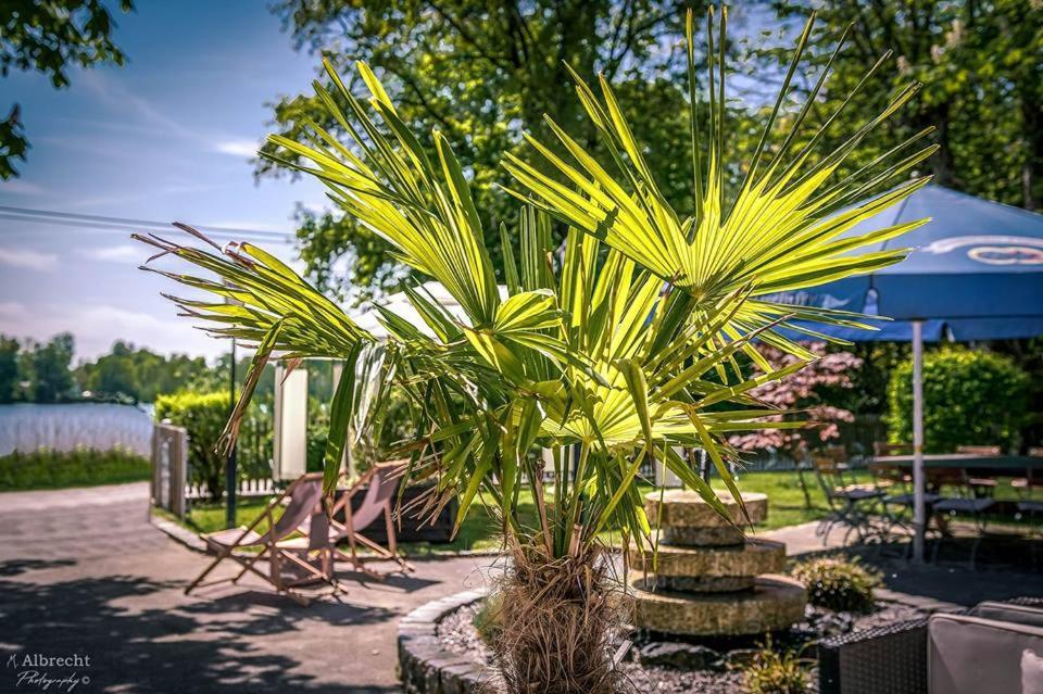 Sopherl Am See - Fruehstueck Auf Der Seeterrasse, Sehr Ruhig Und Wunderschoen Am See, 3 Minuten Nach Oberpfaffenhofen, Viele Radtouren, Restaurants & Cafes In Der Umgebung Веслинг Экстерьер фото